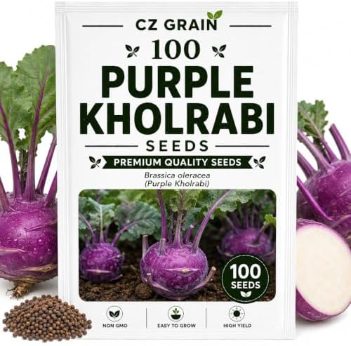 100 Purple Kohlrabi Seeds | Heirloom Vegetable Seeds for Planting by CZGrain