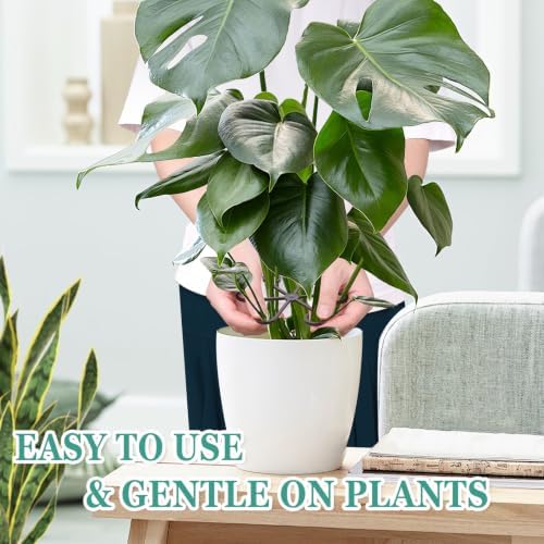 8PCS Plant Stem Support, Monstera Plant Support Clips for Indoor Plants - Image 5