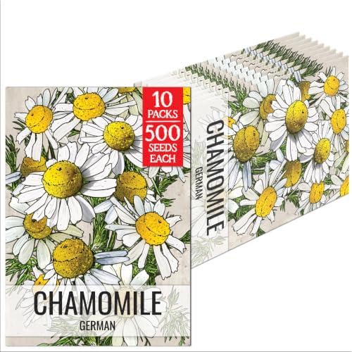 Seed Needs German Chamomile Seeds to Plant an Herb Garden - 10 Packs by SeedNeeds