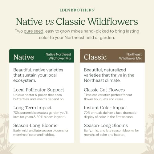 Eden Brothers Native Northeast Wildflower Seed Mix, 1/4lb, 17 Wild Flower Seed Varieties, 100% Pure Seed No Fillers,Bulk Wildflower Seeds for Planting Outdoors,Attracts Pollinators & Hummingbirds - Image 4