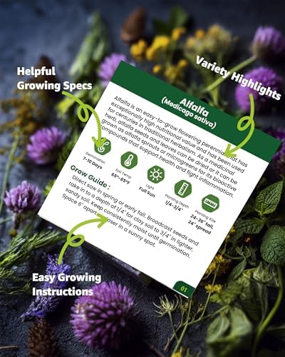 36 Medicinal Herb Seeds Variety Pack, Non-GMO Herbal Tea Garden Seeds - Image 2