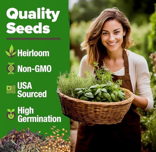 HOME GROWN 25 Herb Variety Pack 9,900+ Seeds Extra Large Culinary Kit - Image 2