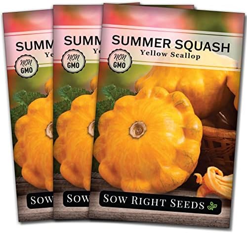 Sow Right Seeds - Yellow Scallop Summer Squash Seed for Planting Garden 3pk by SowRightSeeds