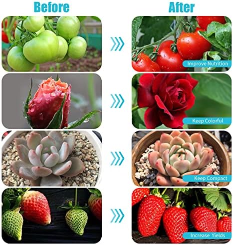 Hywyimlait Black Clip Grow Lights for Indoor Plants, 168 Full Spectrum LEDs Clip Plant Growing Lamps with Flexible Gooseneck and 4/8/12/18H Timer, 3 Spectral Modes, 10 Dimmable Levels (4 Head 1 Pack) - Image 6