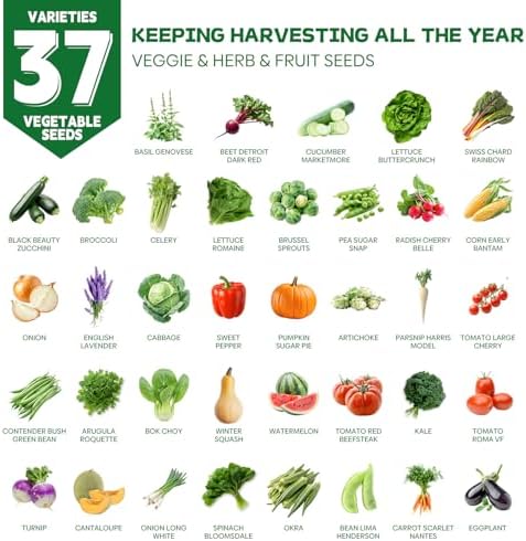 Groundio 40,000+ Heirloom Seeds Kit, 37 Vegetable Seeds Individual Pack - Non GMO for Planting Vegetables, Fruit and Herbs, Outdoor Garden Seeds for Indoor & Outdoor Garden Planting - Image 2