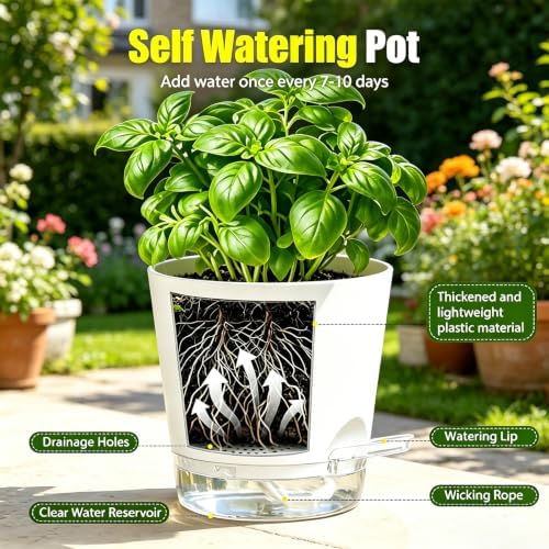 10 Indoor Herb Garden Kit, 54pcs Complete Kitchen Herb Starter Set Including 2-Color Self Watering Pots, Soil & Tools, Unique Gift Ideas for Plant Lovers, Women, Men, Friend, Birthday, Housewarming - Image 4