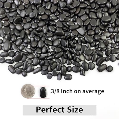 YISZM 5LB Succulent and Cactus Black Pebbles, 3/8 Inch Polished Stones - Image 3