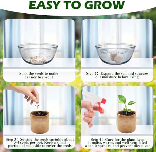Coolrunner Wooden Bonsai Tree Starter Kit, Bonsai Tree Kit, - Image 3