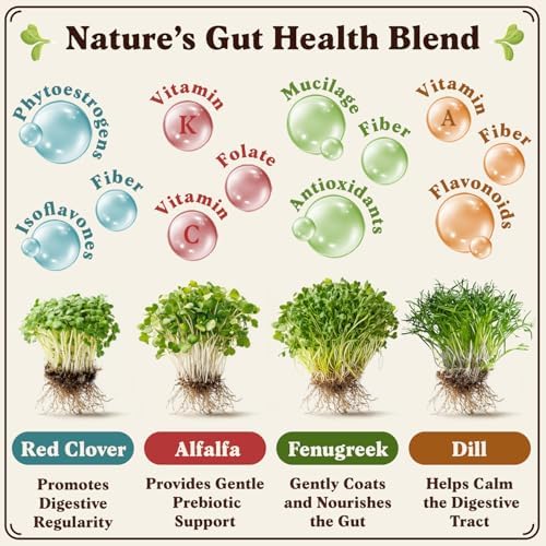 Seedboy Organic Non-GMO Sprouting Seeds (Gut Health Blend) - Image 2