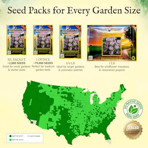 Everwilde Wild Bergamot Seeds 2,000 Count – Native Perennial Wildflower – Attracts Bees, Butterflies & Hummingbirds – Drought Tolerant & Deer Resistant – Pollinator Gardens – XL Mylar Jumbo Packet - Image 6