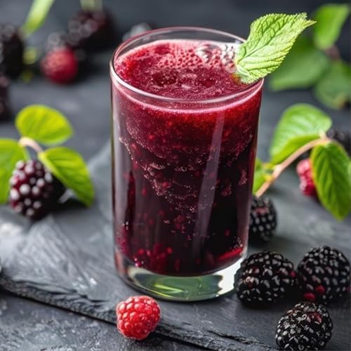 Boysenberry Plant (4 Pack) | Live Fruit Plant for Planting | Large, Juicy & Sweet Berries | Thorny & High-Yielding Variety | Grow Your Own Food in Your Edible Organic Garden | Perfect for Fresh Eating - Image 7