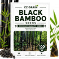 Black Bamboo Seeds to Plant, Ornamental Privacy Screen, 100 Premium Seeds by CZGrain