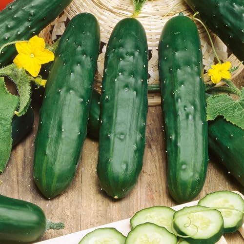 Eden Brothers Cucumber Seeds - Marketer, Packet - Image 2