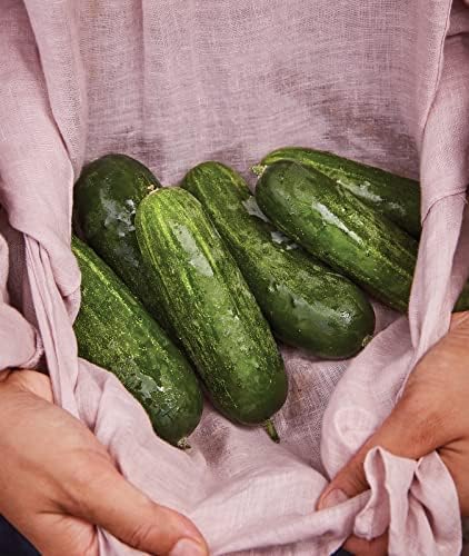 Burpee 'Supremo' Pickling Cucumber Seeds, 30 Non-GMO seeds, Container Friendly - Image 5