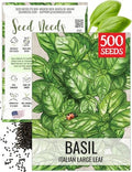 Seed Needs Italian Basil Seeds to Plant an Herb Garden - 1 Pack by SeedNeeds