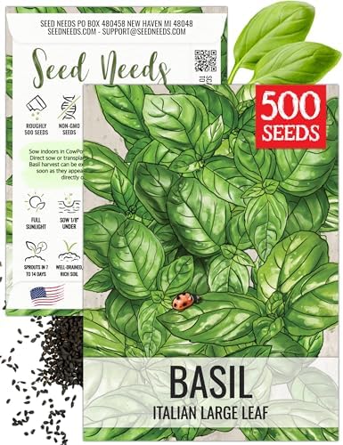 Seed Needs Italian Basil Seeds to Plant an Herb Garden - 1 Pack by SeedNeeds