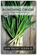 Sow Right Seeds - Tokyo Long White Bunching Onion Seed for Planting Garden by SowRightSeeds