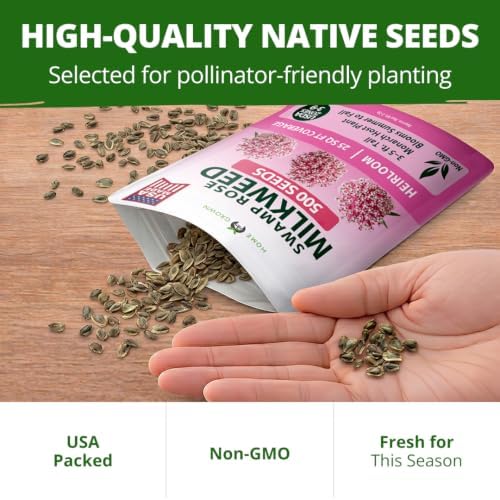 HOME GROWN Milkweed Seeds, Swamp Rose, 500 Seeds, Asclepias incarnata - Image 7