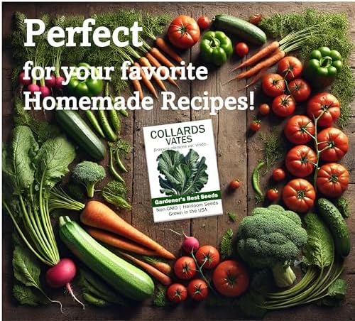 Vates Collard Greens Seeds for Planting (1 Pack | 400+ Seeds per Pack) - Organic, Non-GMO, Heirloom, Frost Hardy, Compact, Slow-Bolting, USA Grown, with Instructions to Plant a Home Vegetable Garden - Image 3