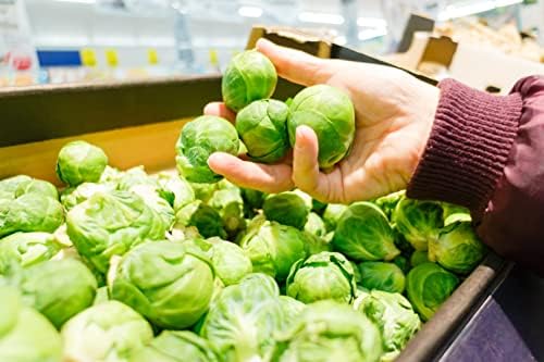 Brussel Sprouts Seeds for Planting, Catskill, 1 gram, 270 Seeds, Grow Heirloom Brussels Sprouts Fresh in Your Garden, Non-GMO - Image 3