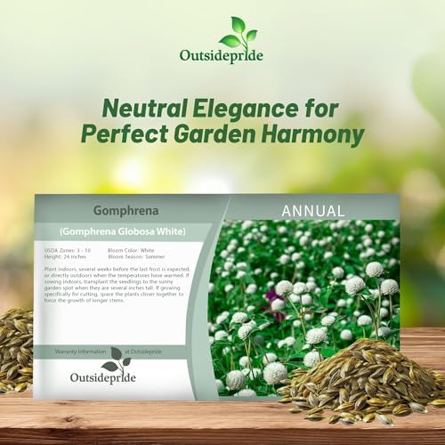 Outsidepride White Gomphrena Seeds - 2000 Pcs Annual, Heat & Drought Tolerant, Pollinator Friendly Globe Amaranth Seeds for Planting w/Vibrant Round Blooms for Beds, Borders, and Arrangements - Image 5