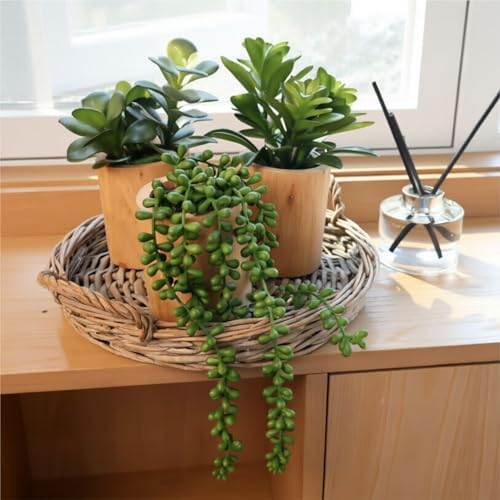 Artificial Succulents Plastic Artificial Green Plant for Office, Home Decor (Set of 3 Succlents in Wooden pots) - Image 2