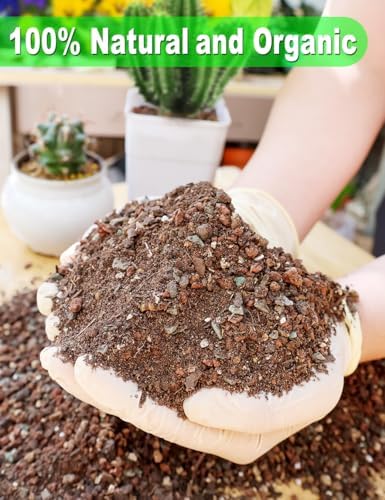 TOYPOPOR Succulent Soil, Cactus Potting Mix 2 Pounds/1 Quart, High Drainage, Pre-Mixed Ready to Use for All Succulent Varieties, Indoor Plants, Bonsai, Terrarium, Houseplant, 70% Particles 30% Soil - Image 3