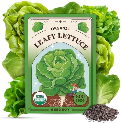 Organic Non-GMO Vegetable Seeds for Planting (Buttercrunch Lettuce) by Seedboy