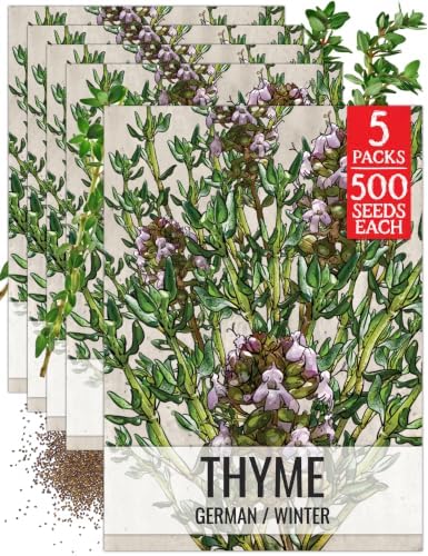 Seed Needs Thyme Seeds to Plant an Herb Garden - 5 Packs by SeedNeeds
