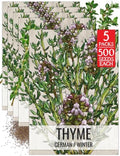 Seed Needs Thyme Seeds to Plant an Herb Garden - 5 Packs by SeedNeeds