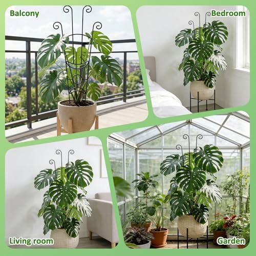 Monstera Plant Support - 32.6 Inch Tall Trellis with 2 Pack Plant Stakes for Your Large Climbing Monstera Deliciosa | Indoor Plant Climbing Frame for Potted Growth - Image 6