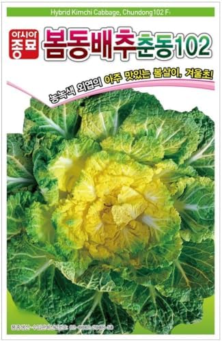 Korean Spring Cabbage Seeds (Bomdong) – Asian Leafy Vegetable for Home Gardens by Unknown