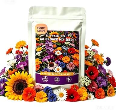 Wildflower Seeds, 5000+ Open Pollinated Non-GMO Seeds, 15 Varieties Butterfly Hummingbird Mix, Wildflower Seeds Bulk Mix for Outdoor Gardens, Yards, Attracts Pollinators by WivolibeSeeds