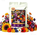 Wildflower Seeds, 5000+ Open Pollinated Non-GMO Seeds, 15 Varieties Butterfly Hummingbird Mix, Wildflower Seeds Bulk Mix for Outdoor Gardens, Yards, Attracts Pollinators by WivolibeSeeds