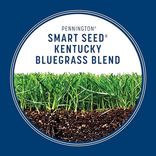 Pennington Smart Seed Kentucky Bluegrass Blend, Grass Seeds for Lawn, 3lb - Image 5