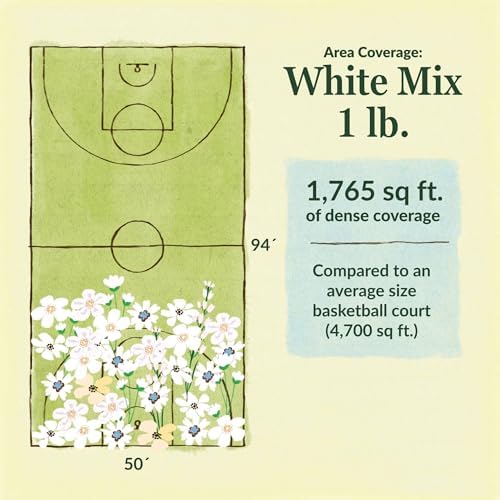 Ferry-Morse White Bulk Wildflower Seeds, 290,000+, 1 lb - Image 6
