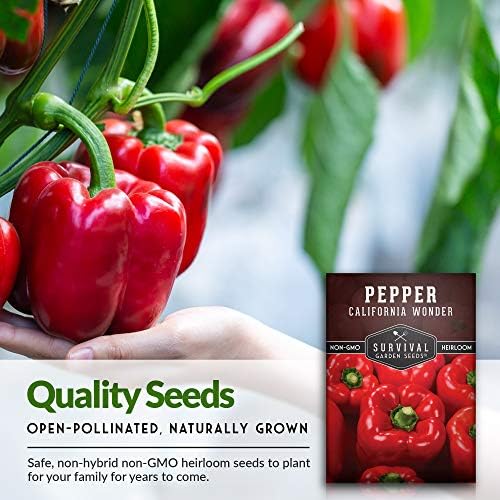 California Wonder Red Bell Pepper Seeds for Planting (5 Pack) - Image 4