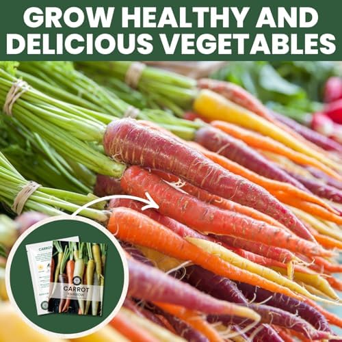 Carrot Rainbow Mix – 4,500 Premium Heirloom Seeds for Planting – Colorful, Sweet Root Blend for Garden & Kitchen for the 2026 Season – 5 Gram Pouch - Image 7