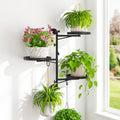 Wall Plant Holder, Rotating Floating Window Shelf, 3-Tier Black by iDavosicly