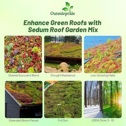 Outsidepride Roof Garden Sedum Seeds - 5000 Pcs Perennial Ground Cover Seeds for Planting, Cold-Hardy & Heat-Tolerant Succulent Plants, Ideal for Rock Gardens, Containers, and Xeriscaping - Image 2