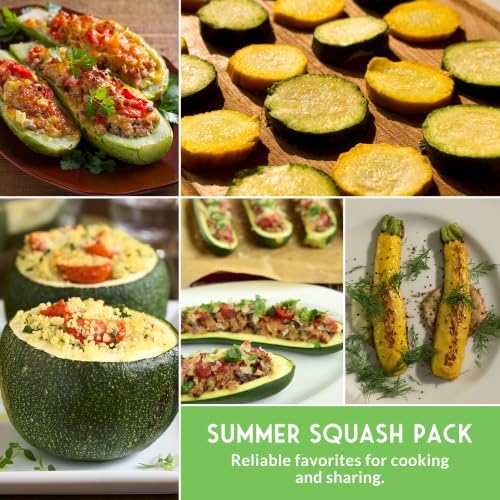 Zucchini & Summer Squash Seeds Collection for Planting - Image 6