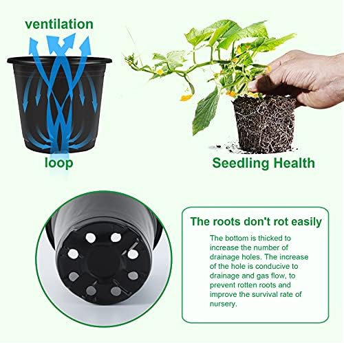 Augshy 40 Pcs 4" Black Plastic Plant Nursery Seed Starting Pots for Succulent Seedling Cutting Transplanting - Image 4