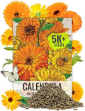 Seed Needs Flower Seeds to Plant Calendula Pacific Beauty Mix - Bulk Pack by SeedNeeds