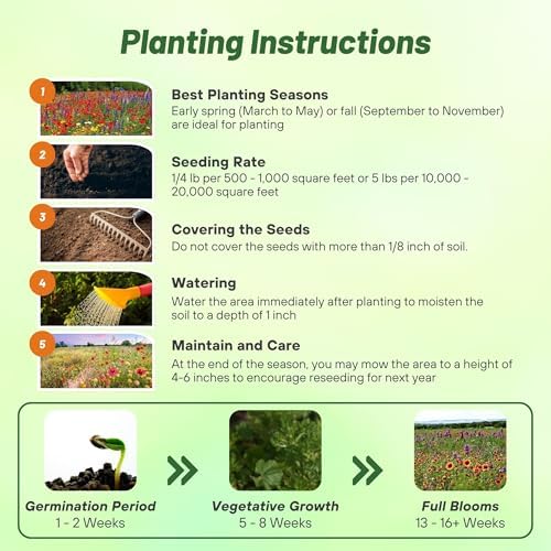 Outsidepride Texas & Oklahoma Wildflower Seed Mix - 1/4 lb Drought-Tolerant, Blend of Annual & Perennial Flower Seeds for Vibrant, Pollinator-Friendly Gardens, Thrives in Full Sun & Well-Drained Soil - Image 5