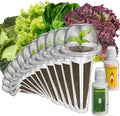 inbloom Salad Seed Pod Kit Compatible with AeroGarden, Ahopegarden, iDoo, MUFGA Hydroponics Growing System, 400+ Mixed Seeds with American Fast/Paris Island/Buttercrunch/Romaine Lettuce (12-Pod) by inbloomgarden