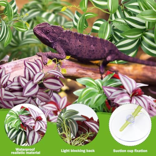 QUOZUO 2 Pack Reptile Plants, Artificial Hanging Plants with Suction Cups, Habitat Decor Plastic Vines Decorations for Bearded Dragons Lizards Snake Geckos Frogs -Purple and Green - Image 5