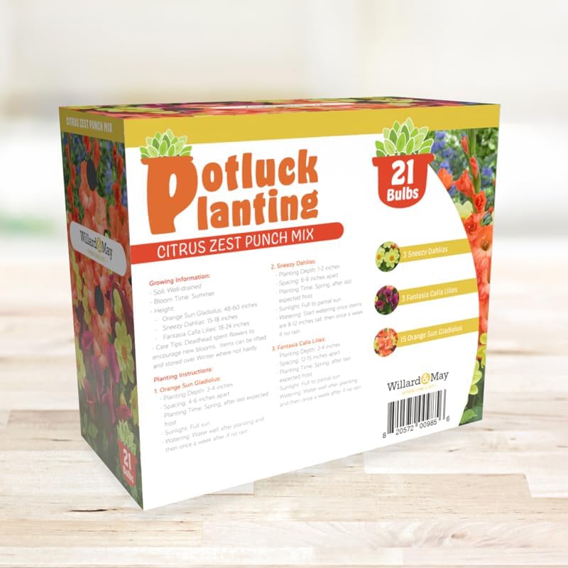 Citrus Zest Punch Flower Bulb Mix - All-in-One Garden Kit - 21 Flower Bulbs per Box - Dahlias, Lilies, Gladiolus - Fragrant - Naturalizing - Easy to Plant Flowers - Live Outdoor Potluck Planting - Image 6