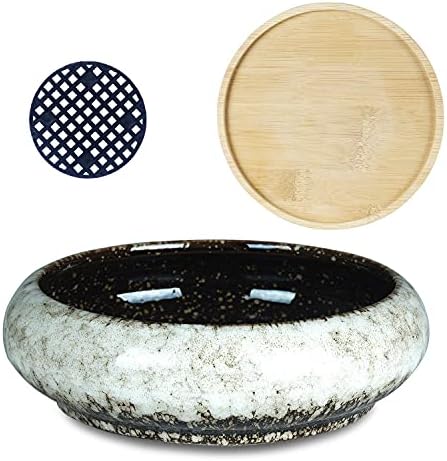 Bonsai Pots, 7.3 Inch Large Succulent Pots with Drainage Shallow Plant Pots - Image 2