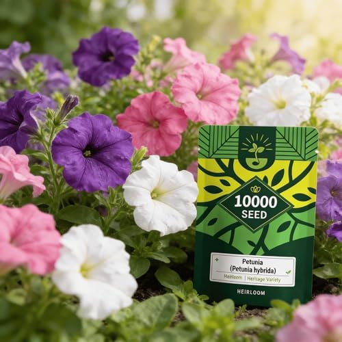 Petunia Seeds for Planting Outdoor, 10000 Heirloom Heritage Variety Seeds by Unknown
