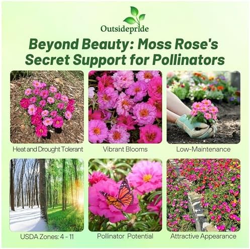 Outsidepride Pink Mixed Moss Rose Seeds - 250 Pcs Annual, Drought & Heat Tolerant, Pollinator Friendly Ground Cover Seeds for Planting w/Vibrant Blooms & Succulent Foliage, Ideal for Xeriscaping - Image 2